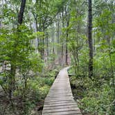 Review photo of Wompatuck State Park Campground by Jake C., August 7, 2026