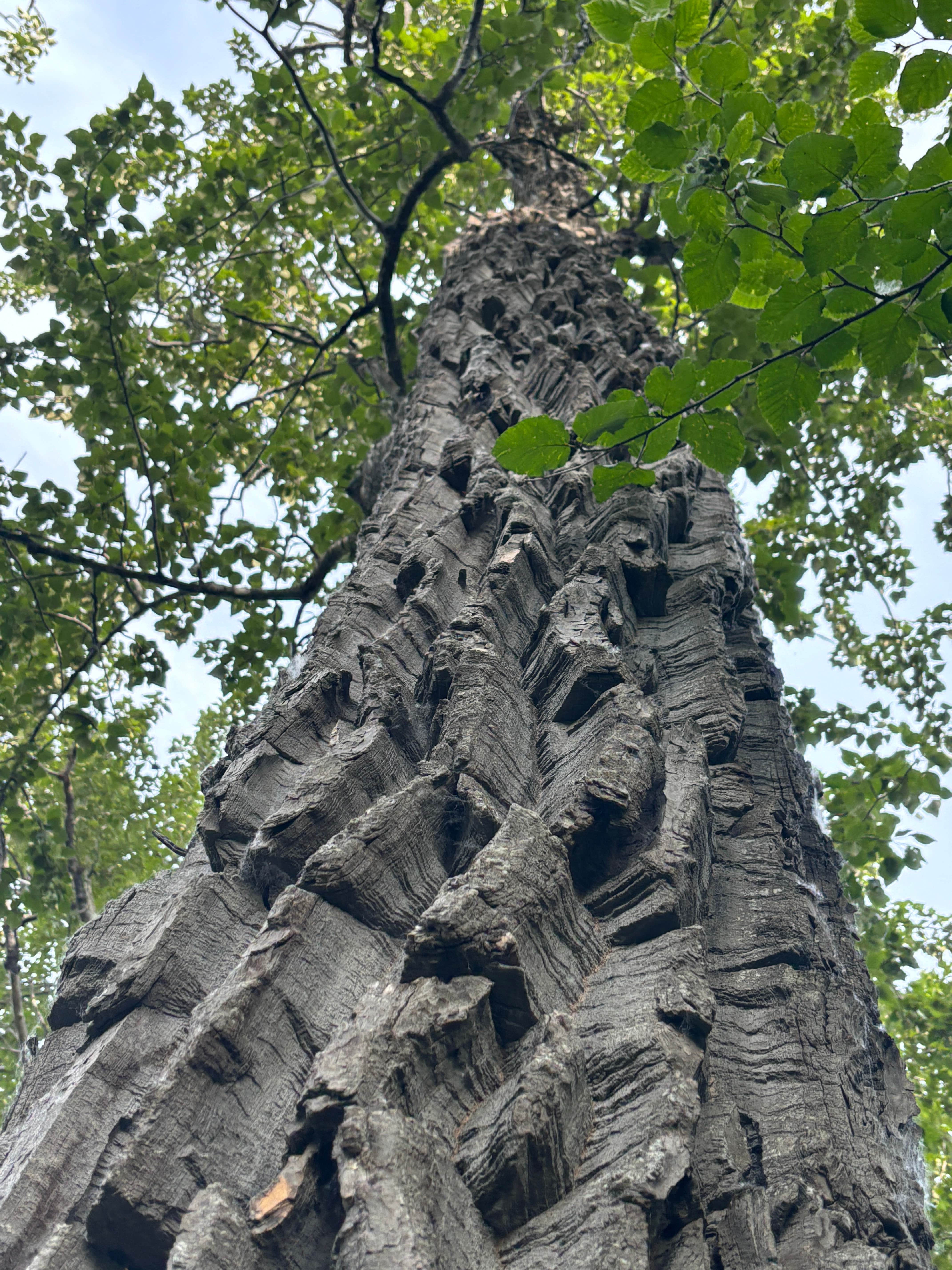 Camper-submitted photo at Matanuska River Park Campground near Wasilla, AK