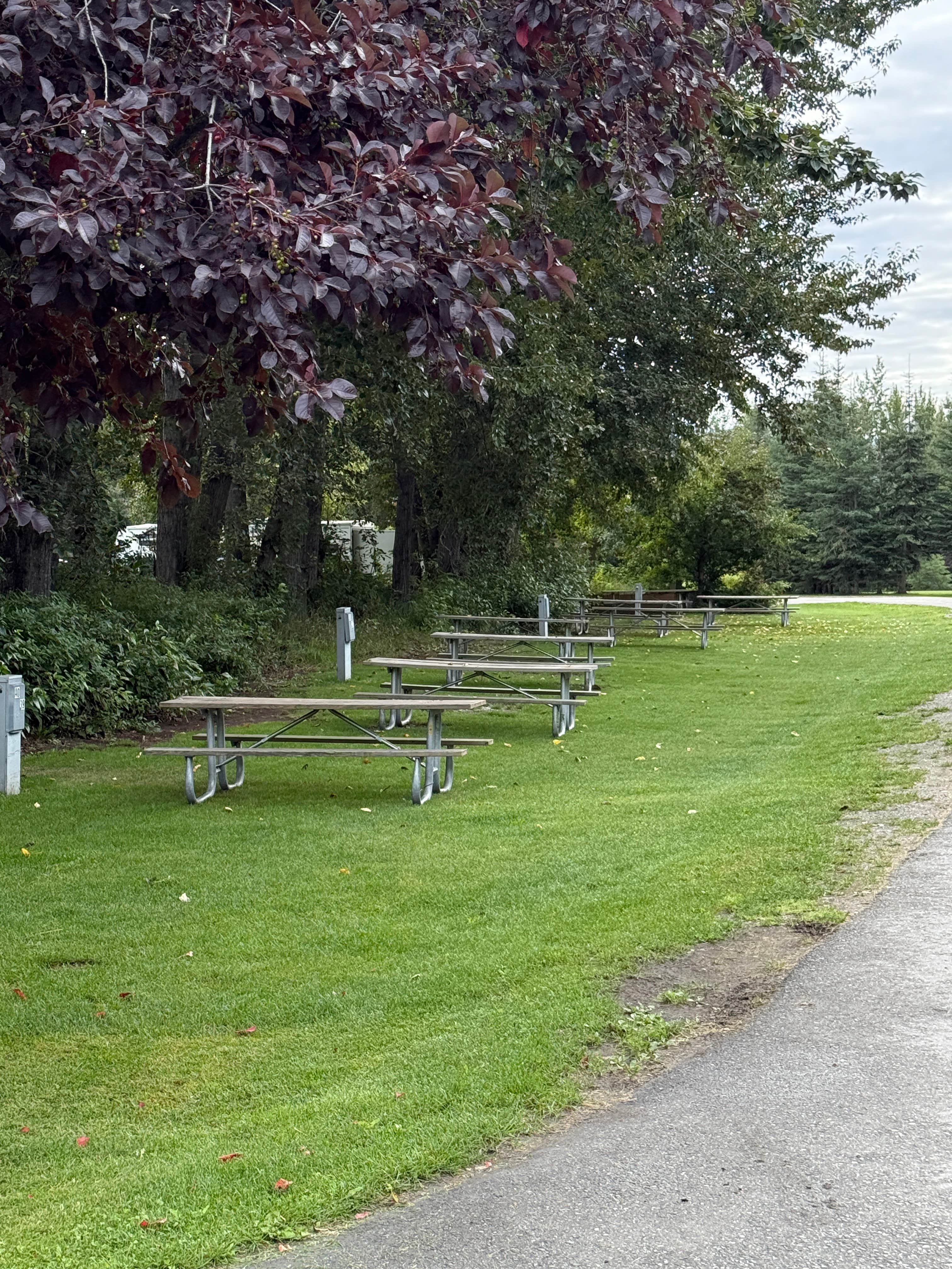Camper-submitted photo at Matanuska River Park Campground near Wasilla, AK