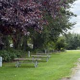 Review photo of Matanuska River Park Campground by Andrea W., August 21, 2025