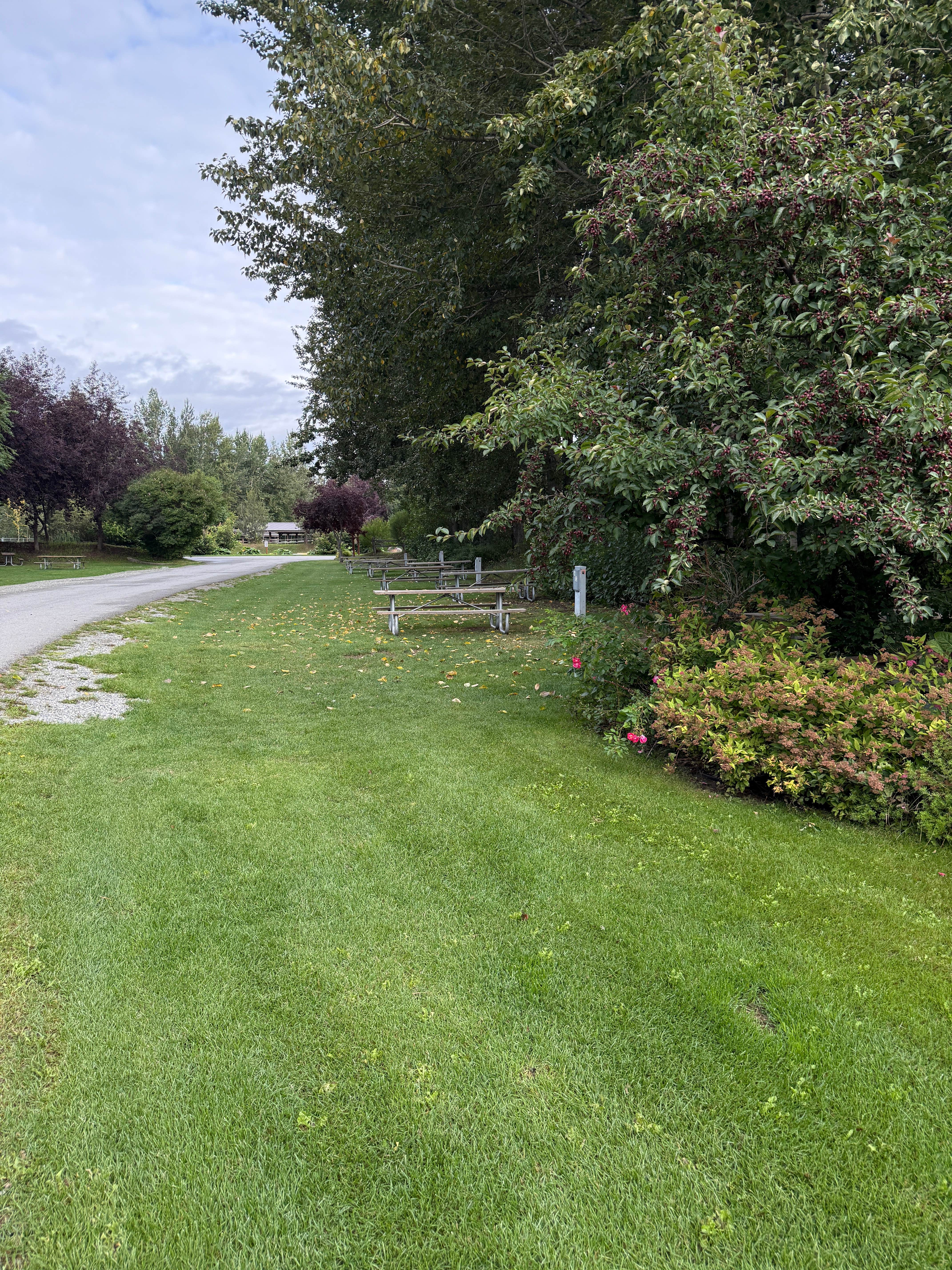 Camper-submitted photo at Matanuska River Park Campground near Wasilla, AK