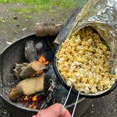 Review photo of Matanuska River Park Campground by Erica C., June 7, 2024