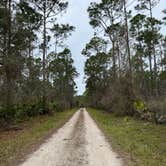 Review photo of Matanzas State Forest by Haley L., June 12, 2024