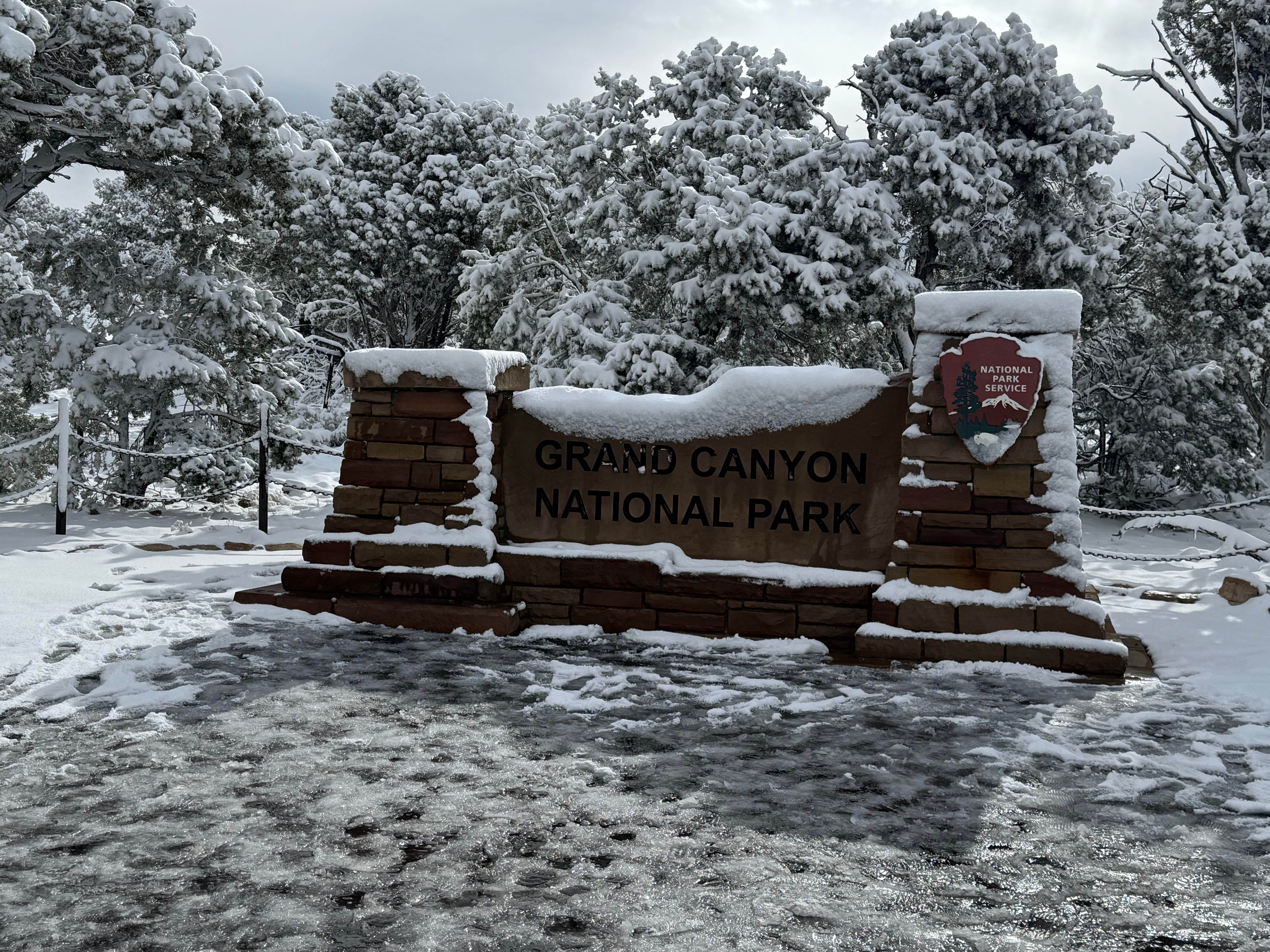 Camper submitted image from Mather Campground - 5