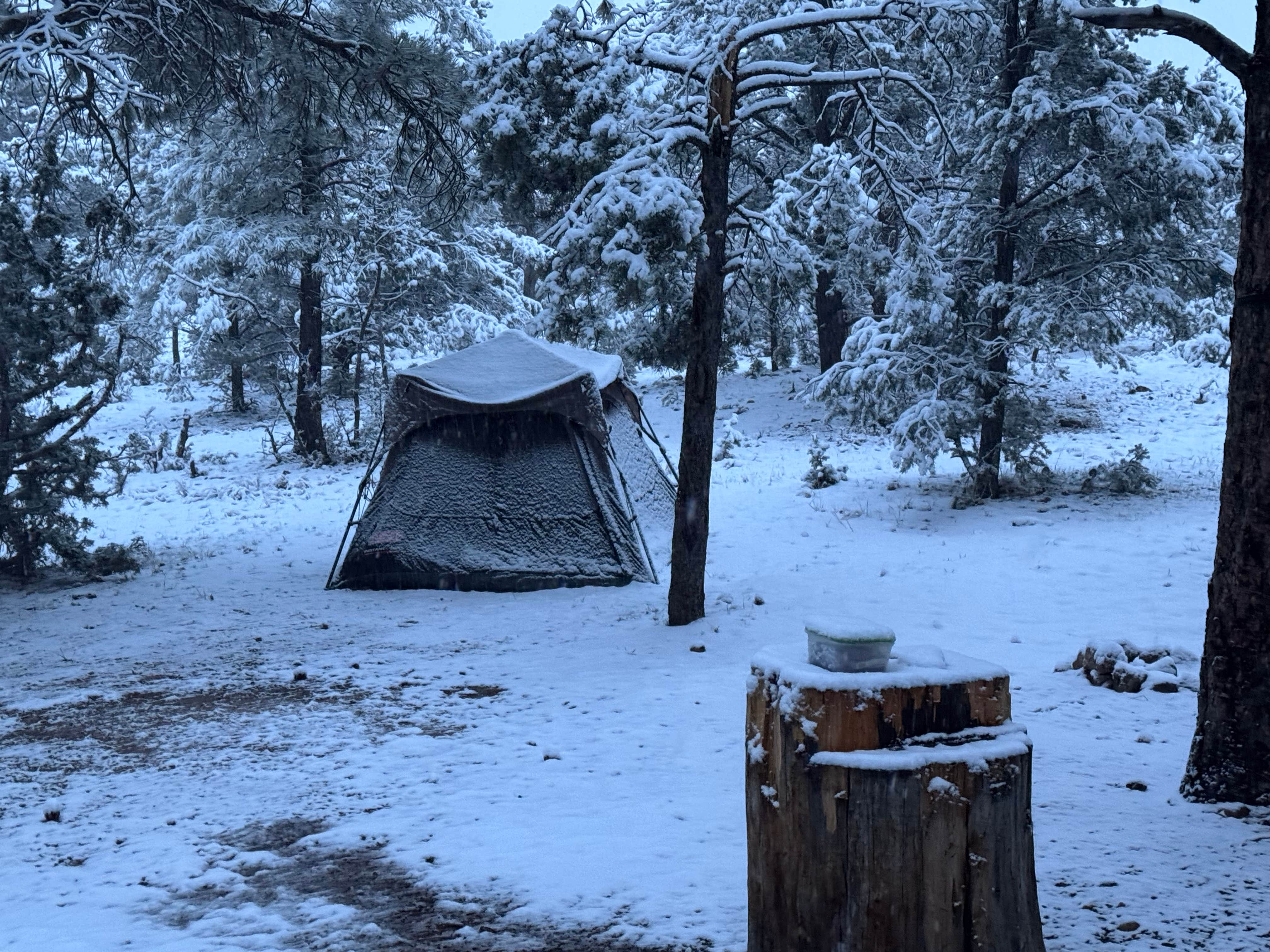Camper-submitted photo at Mather Campground near Grand Canyon National Park