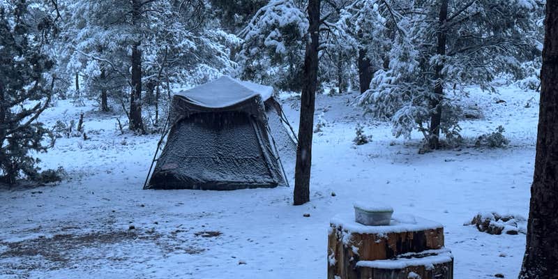 Camper submitted image from Mather Campground