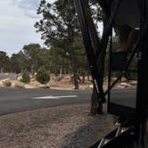 Review photo of Mather Campground by Jeff B., July 17, 2026
