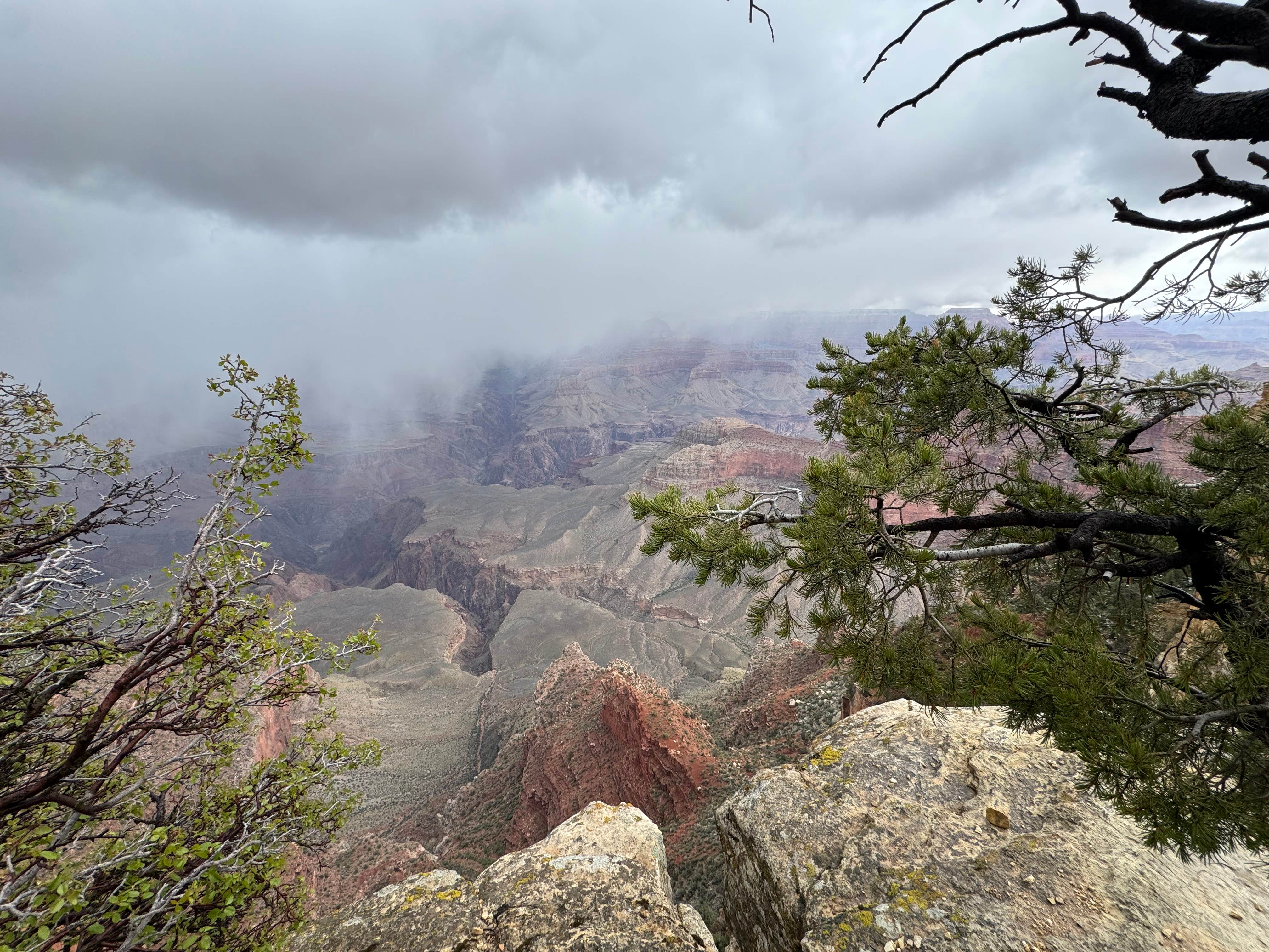 Camper submitted image from Mather Campground - 4