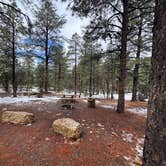 Review photo of Mather Campground by Andre V., January 22, 2026