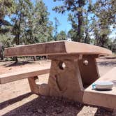 Review photo of Mather Campground by Dennis C., July 4, 2025