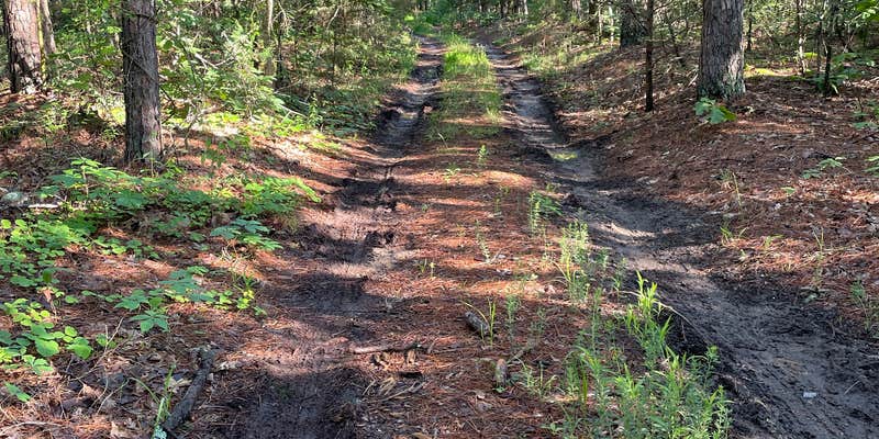 Camper submitted image from Matney Knob disbursed