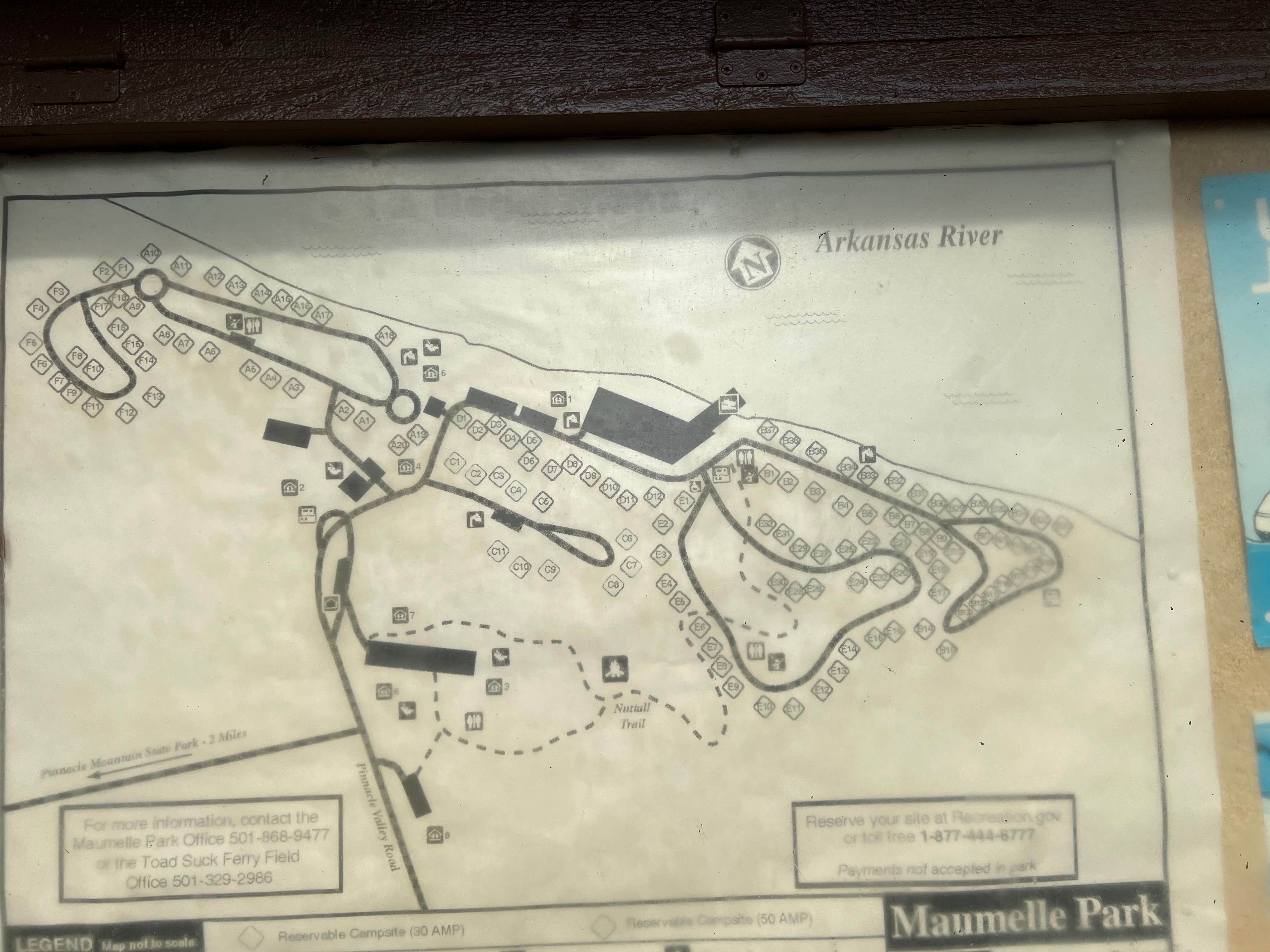 Camper-submitted photo at Maumelle COE campground near Little Rock, AR