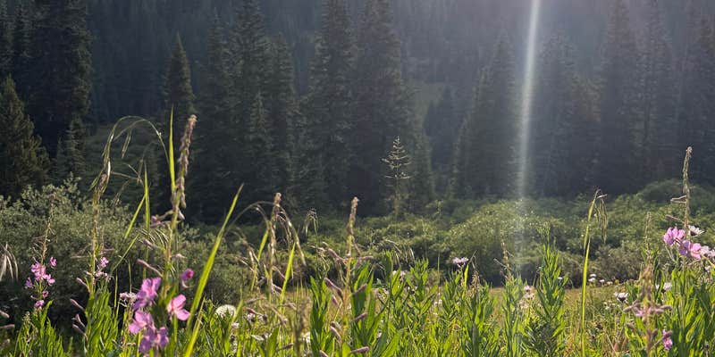 Camper submitted image from Mayflower Gulch