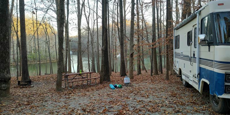 Camper submitted image from Mayo Lake Park