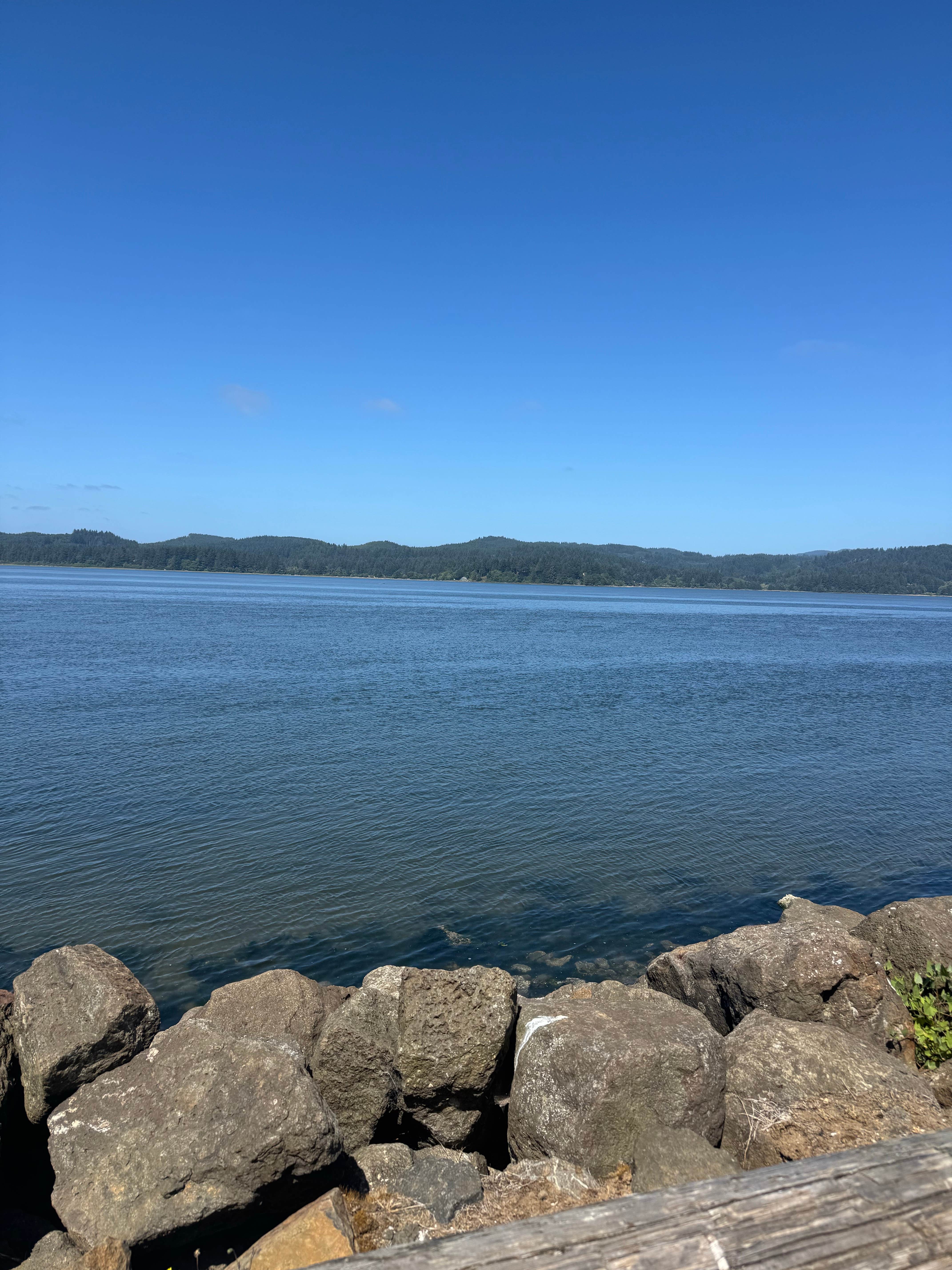 Camper-submitted photo at McKinley's Marina & RV Park near Seal Rock, OR