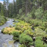 Review photo of McArthur-Burney Falls Memorial State Park Campground by Ray B., July 27, 2026