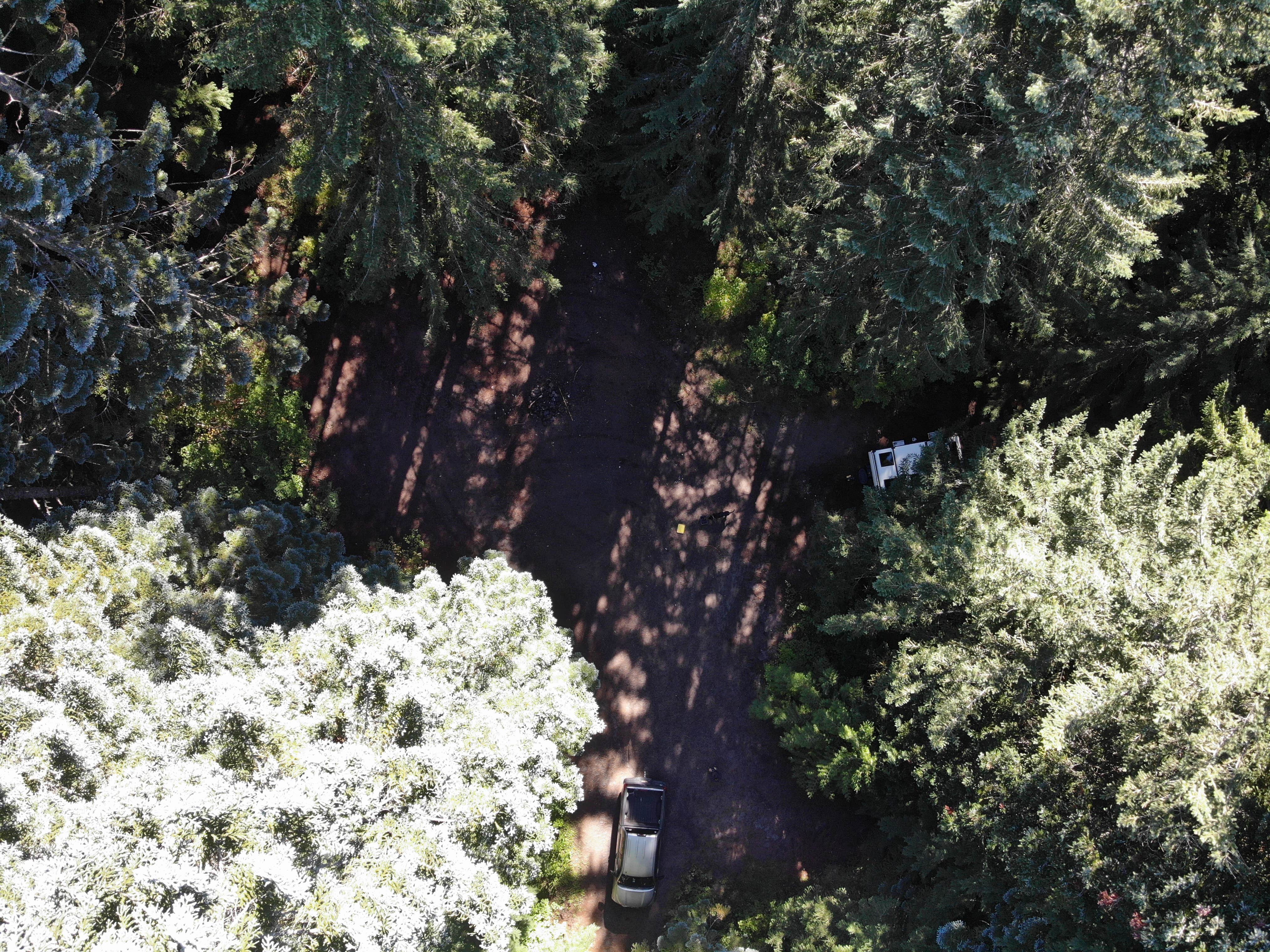 Camper-submitted photo at McBride Lake NF-81 Dispersed near Woodland, WA