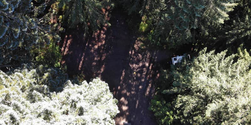 Camper submitted image from McBride Lake NF-81 Dispersed