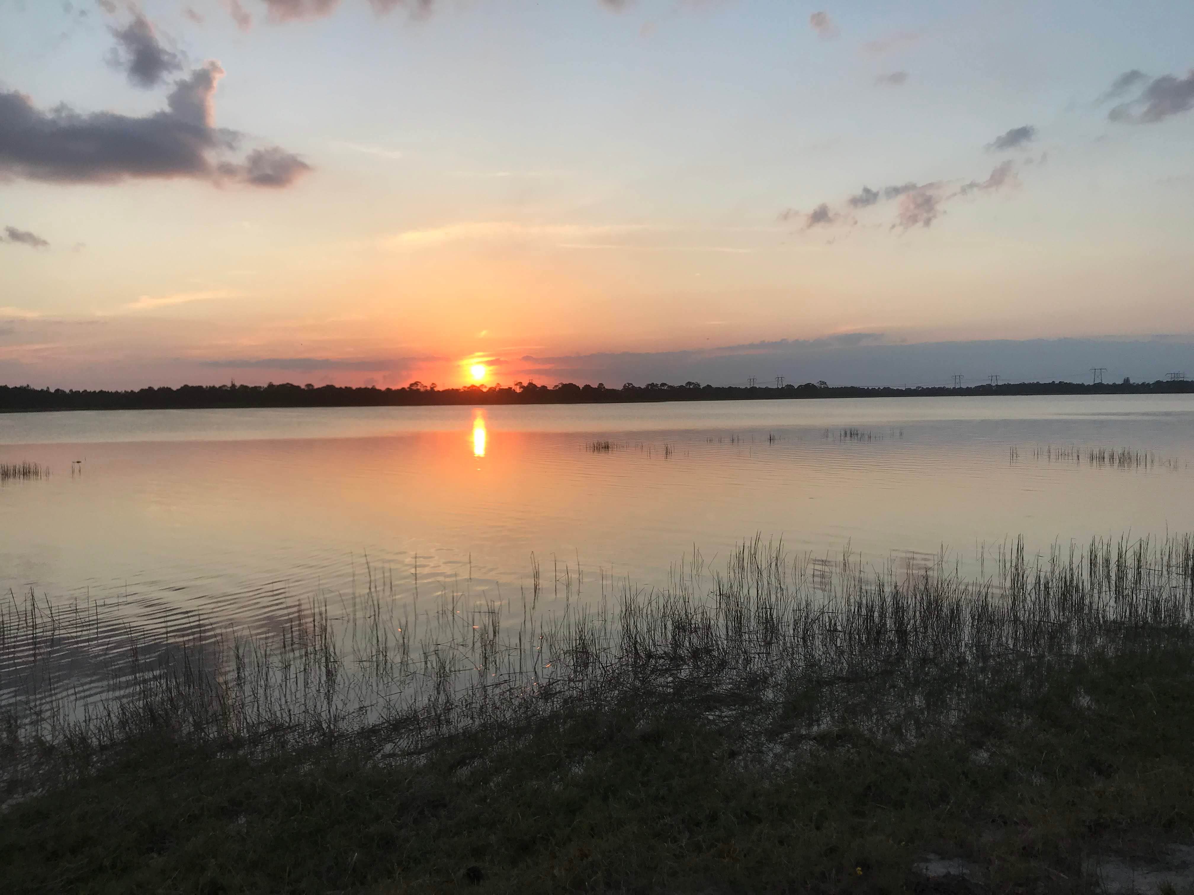 Camper-submitted photo at McCarthy Ranch Preserve near Indiantown, FL