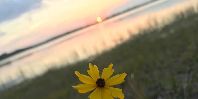 Camper submitted image from McCarthy Ranch Preserve