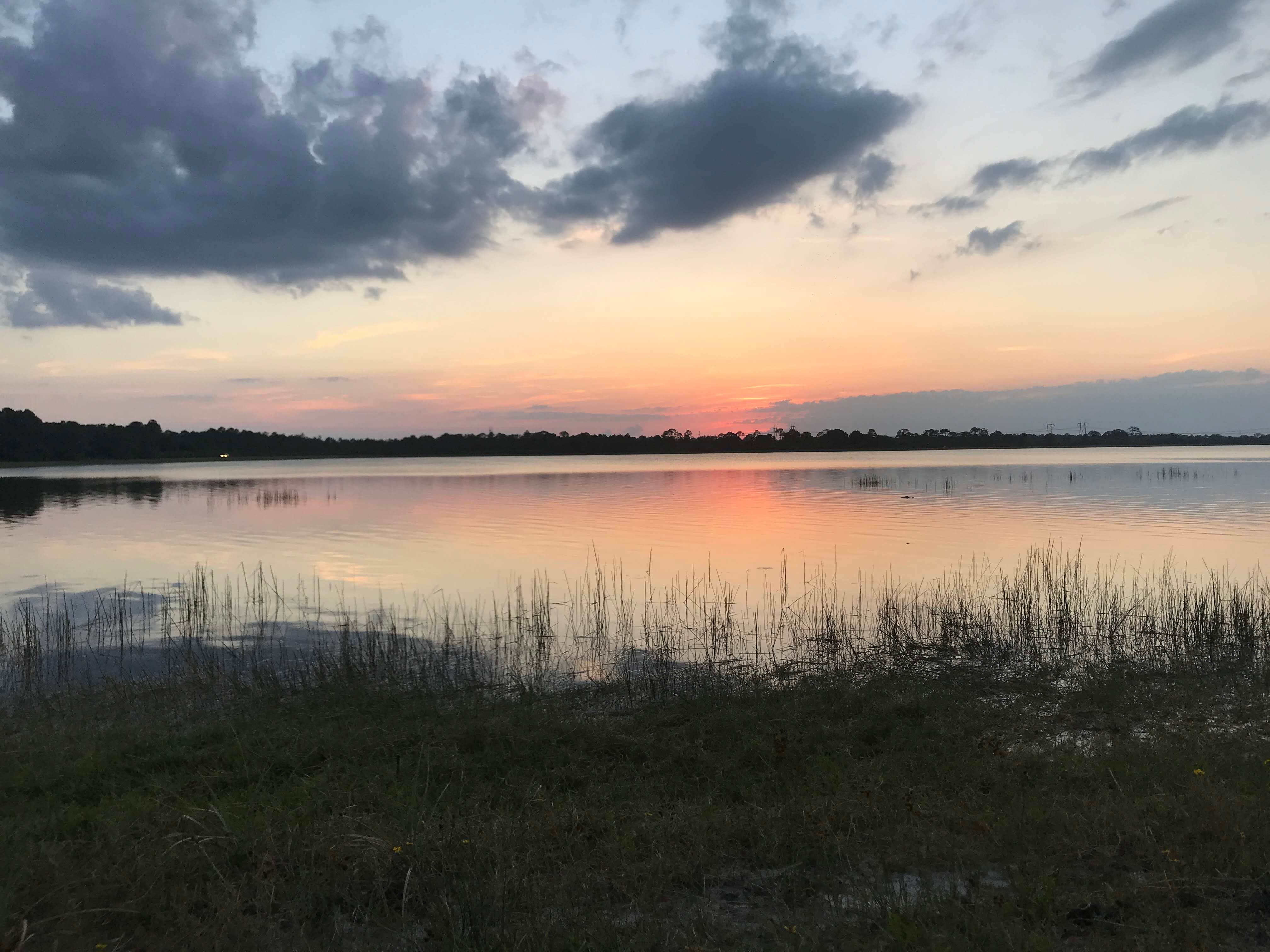 Camper-submitted photo at McCarthy Ranch Preserve near Indiantown, FL