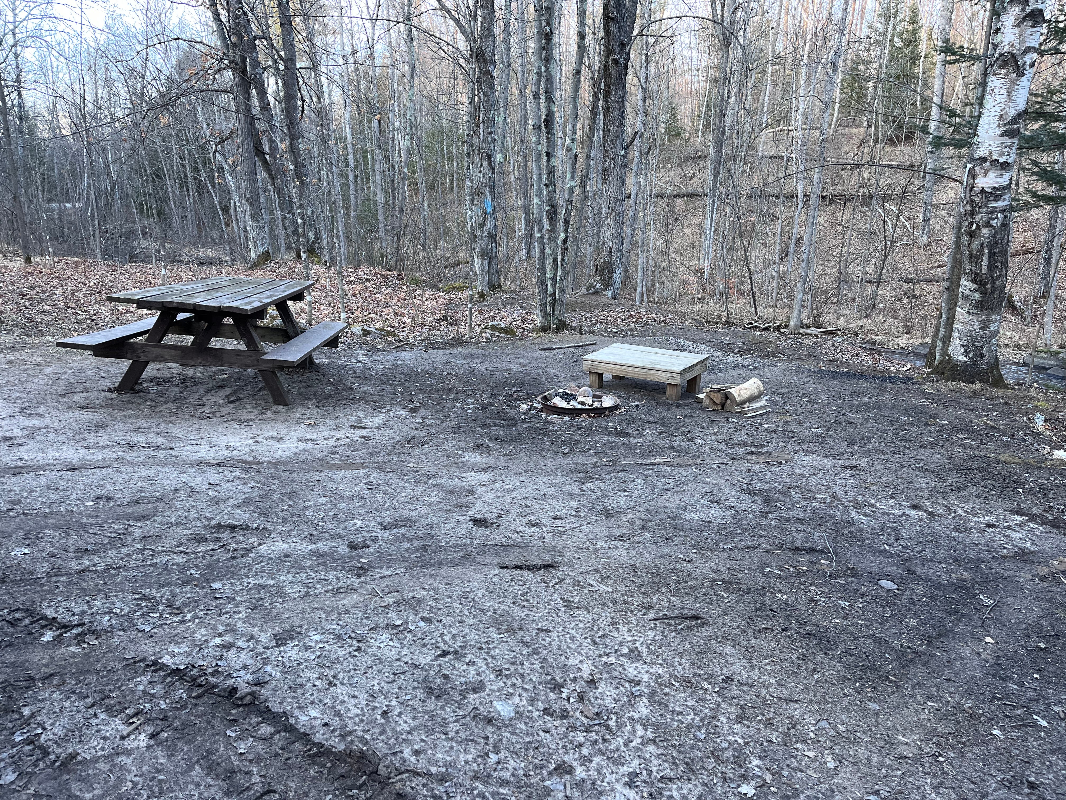 Camper submitted image from McCaslin Brook Dispersed site - 2