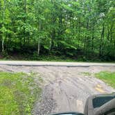 Review photo of McCaslin Brook Dispersed site by Robyn B., June 14, 2025