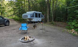 hesselinkj@yahoo.com's photo of a dispersed camping area at McCaslin Brook Dispersed site near Gillett, WI