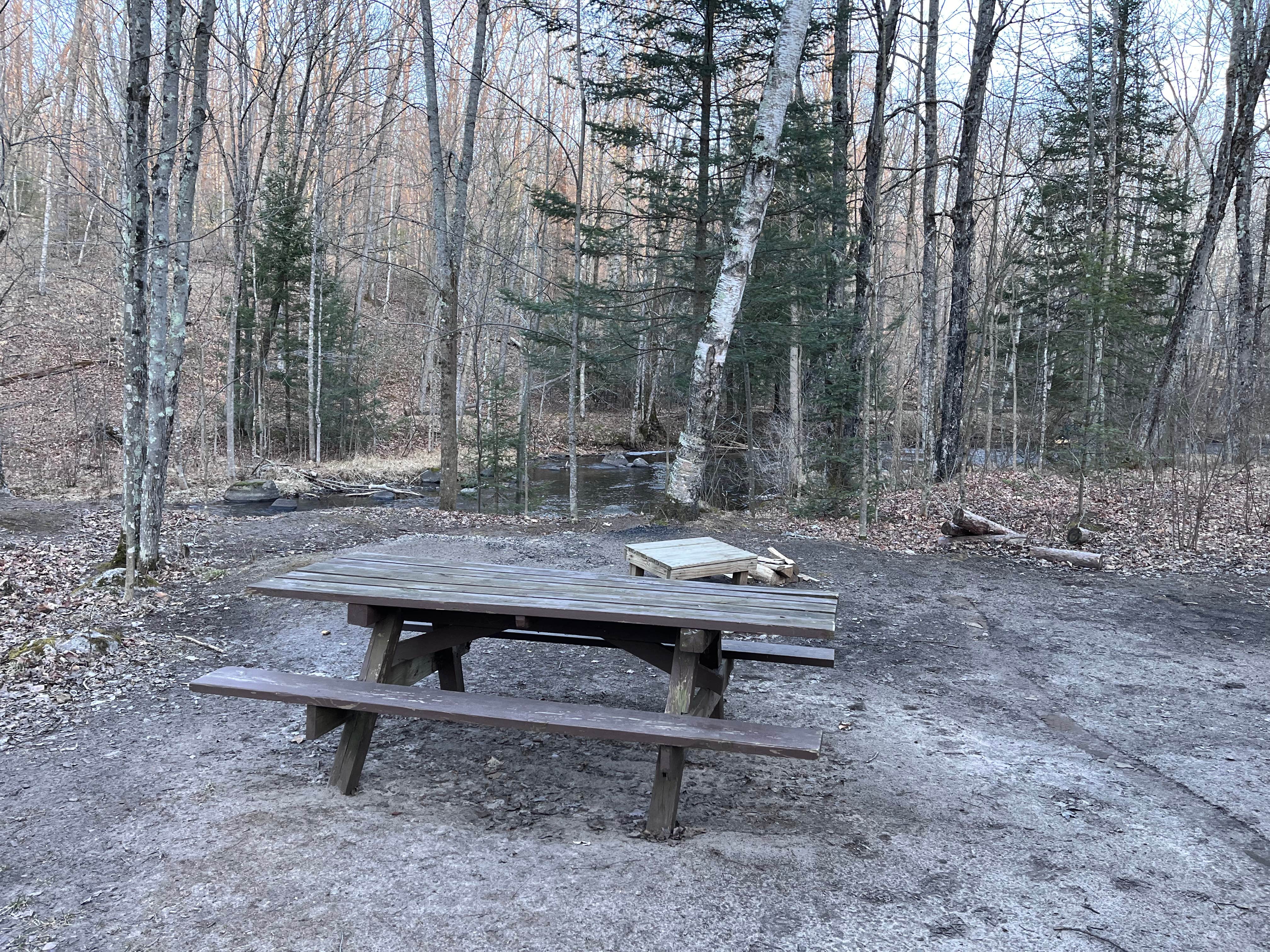 Camper-submitted photo at McCaslin Brook Dispersed site near Crivitz, WI