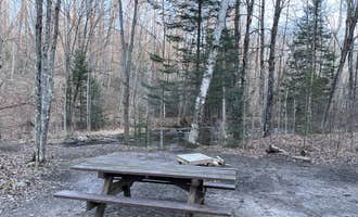 Camping near Mountain Lakes: McCaslin Brook Dispersed site, Lakewood, Wisconsin