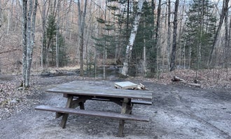 Camping near Bagley Rapids NF Campground: McCaslin Brook Dispersed site, Lakewood, Wisconsin