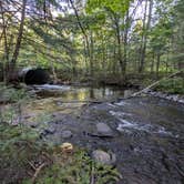 Review photo of McCaslin Brook Dispersed site by hesselinkj@yahoo.com , August 22, 2024