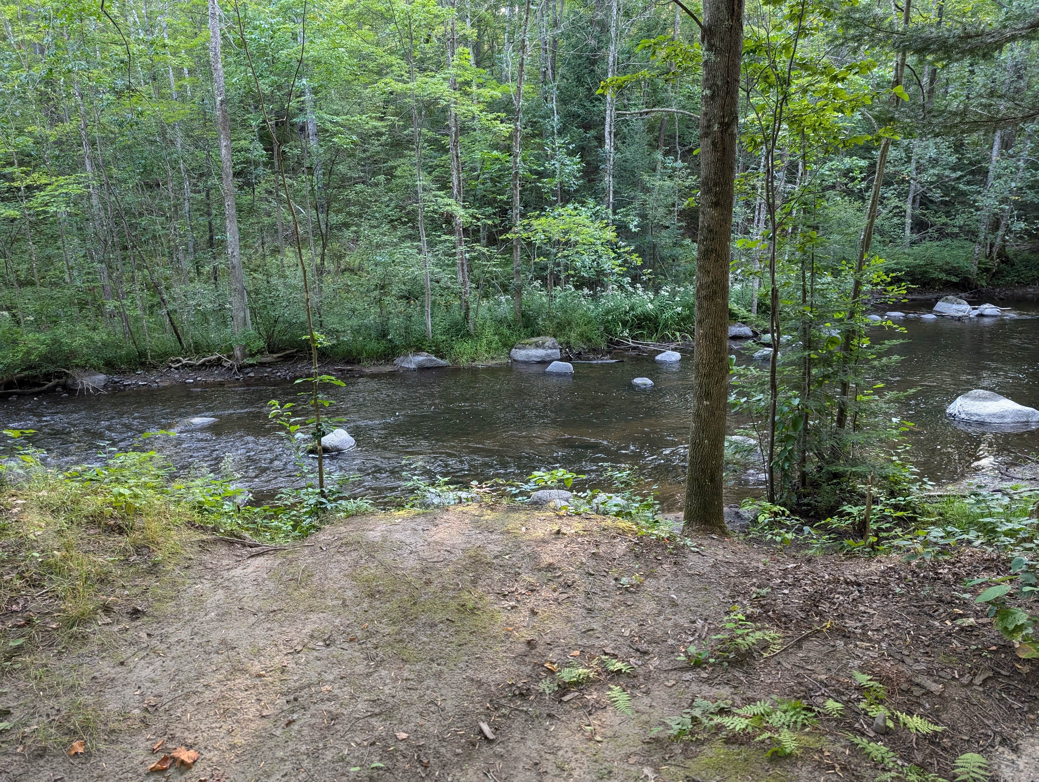 Camper-submitted photo at McCaslin Brook Dispersed site near Crivitz, WI