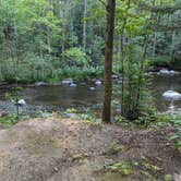 Review photo of McCaslin Brook Dispersed site by hesselinkj@yahoo.com , August 22, 2024