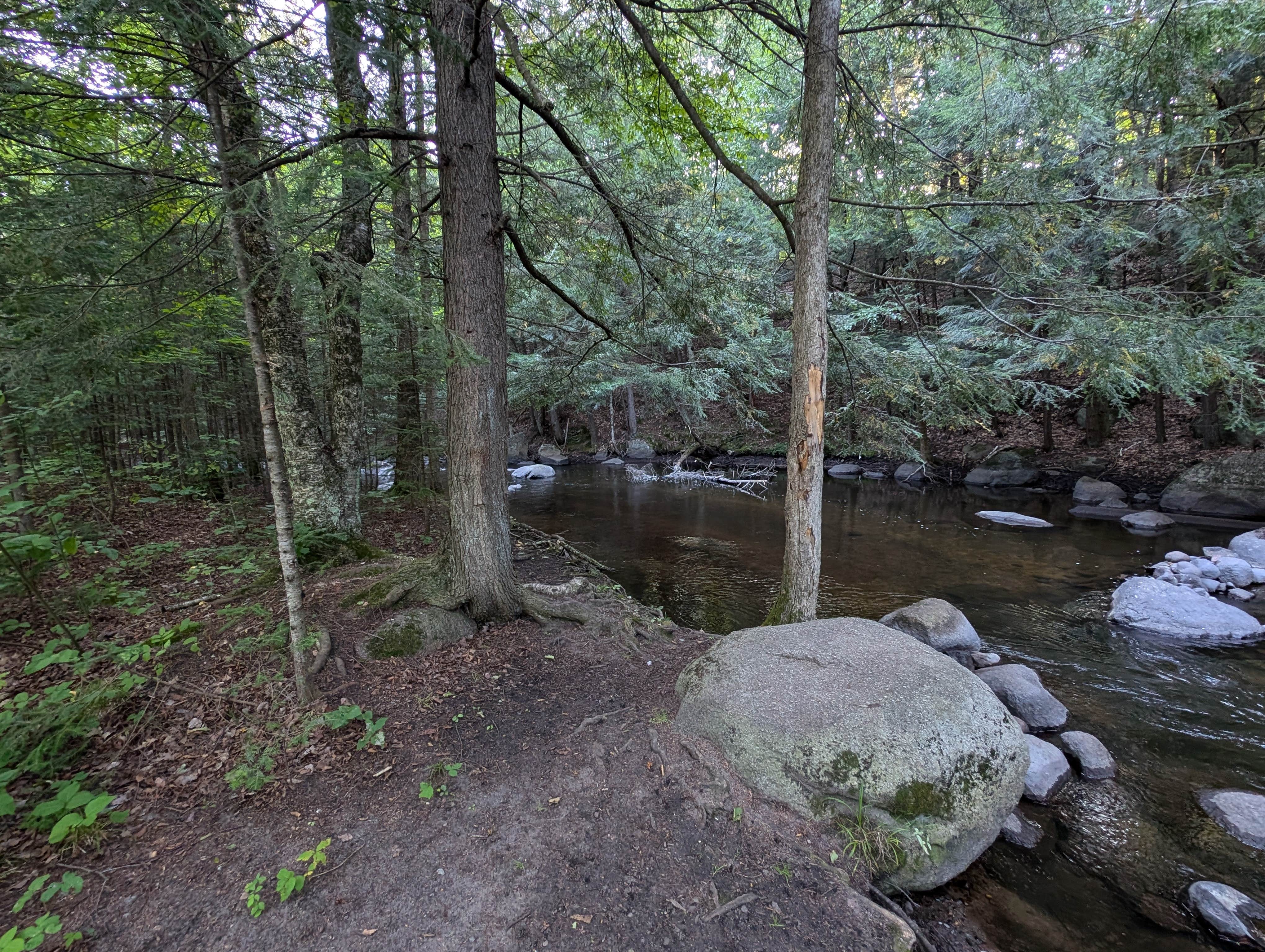 Camper-submitted photo at McCaslin Brook Dispersed site near Mountain, WI