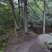 Review photo of McCaslin Brook Dispersed site by hesselinkj@yahoo.com , August 22, 2024