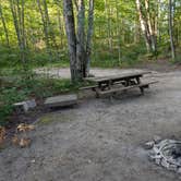 Review photo of McCaslin Brook Dispersed site by hesselinkj@yahoo.com , August 22, 2024