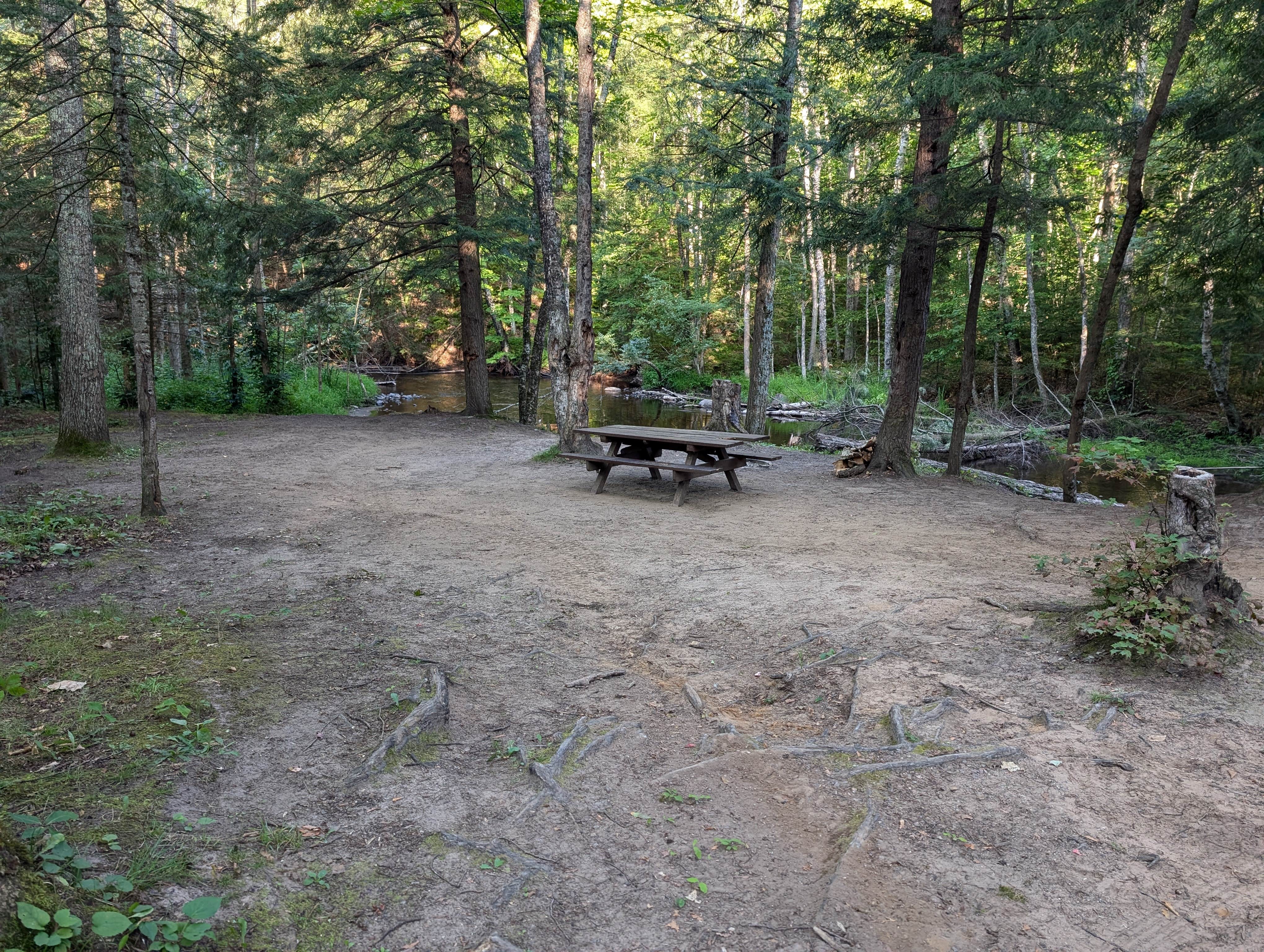 Camper submitted image from McCaslin Brook Dispersed site - 3