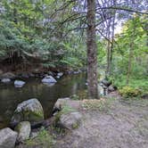 Review photo of McCaslin Brook Dispersed site by hesselinkj@yahoo.com , August 22, 2024