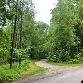Review photo of McCaslin Brook Dispersed site by Robyn B., June 14, 2025
