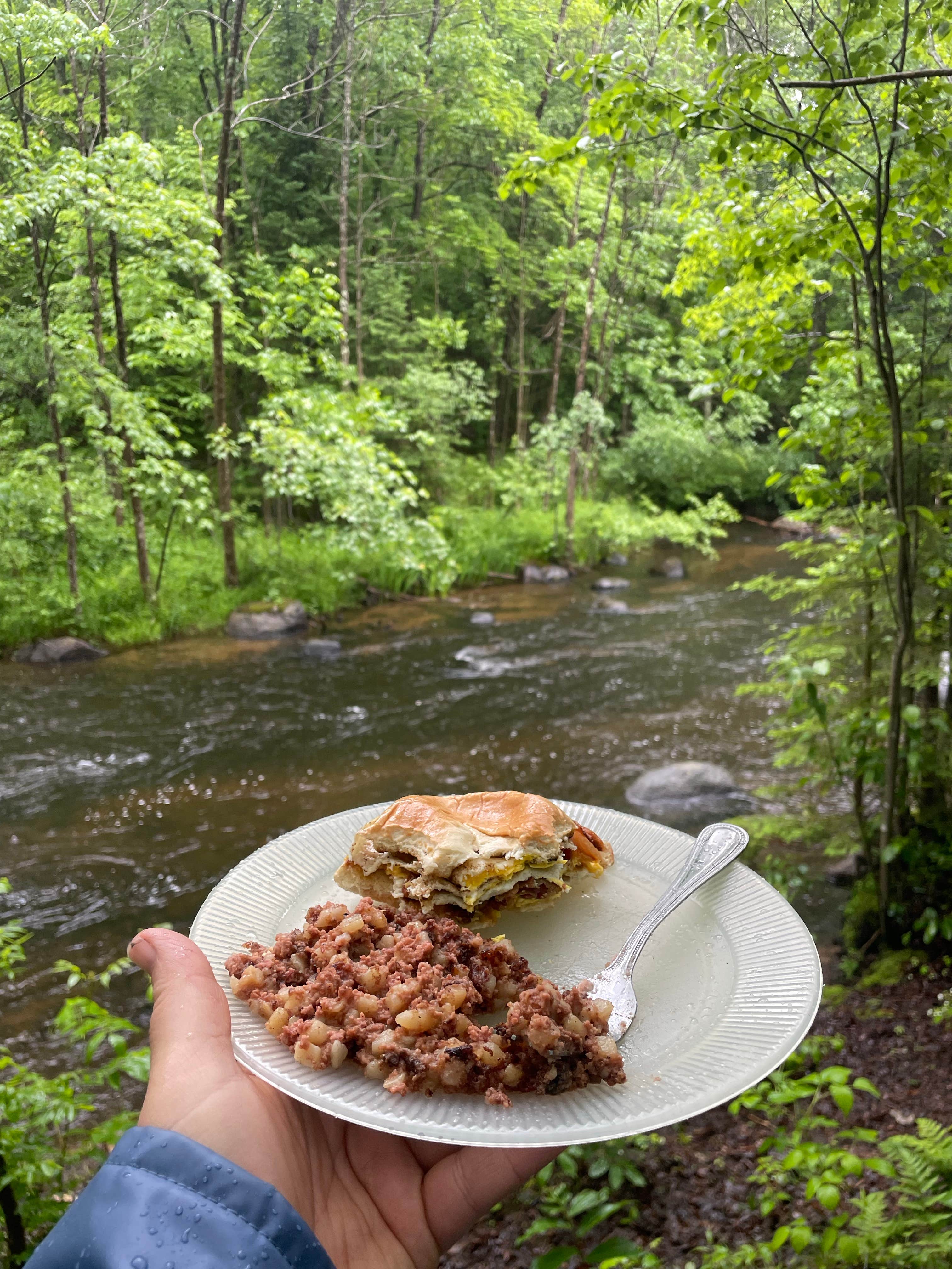 Robyn B.'s photo of a dispersed camping area at McCaslin Brook Dispersed site near Crivitz, WI
