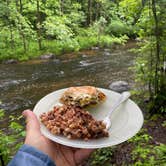 Review photo of McCaslin Brook Dispersed site by Robyn B., June 14, 2025
