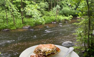 Robyn B.'s photo of a dispersed camping area at McCaslin Brook Dispersed site near Lakewood, WI