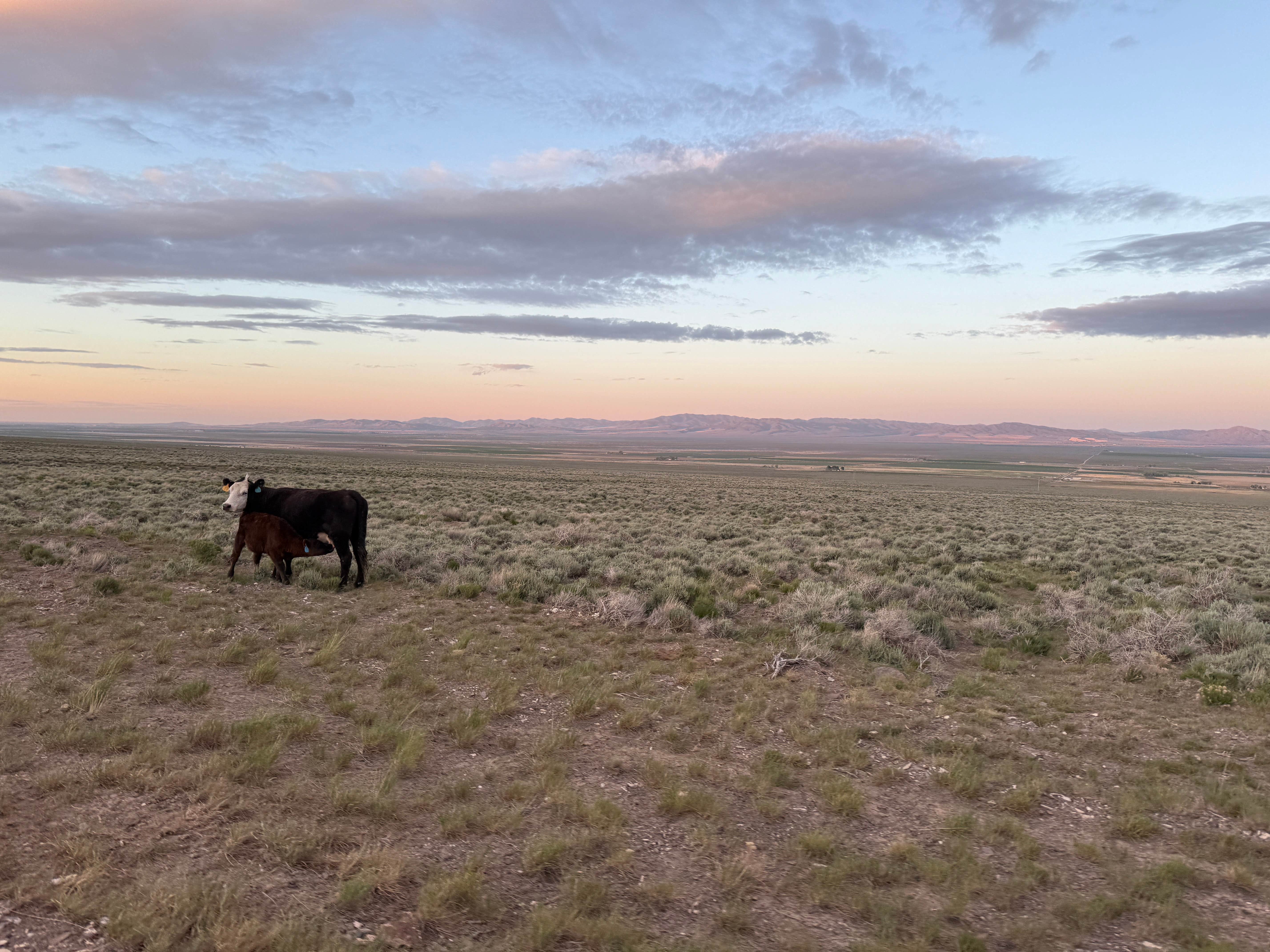 Camper-submitted photo at McClendon Spring Campground near Rockland, ID