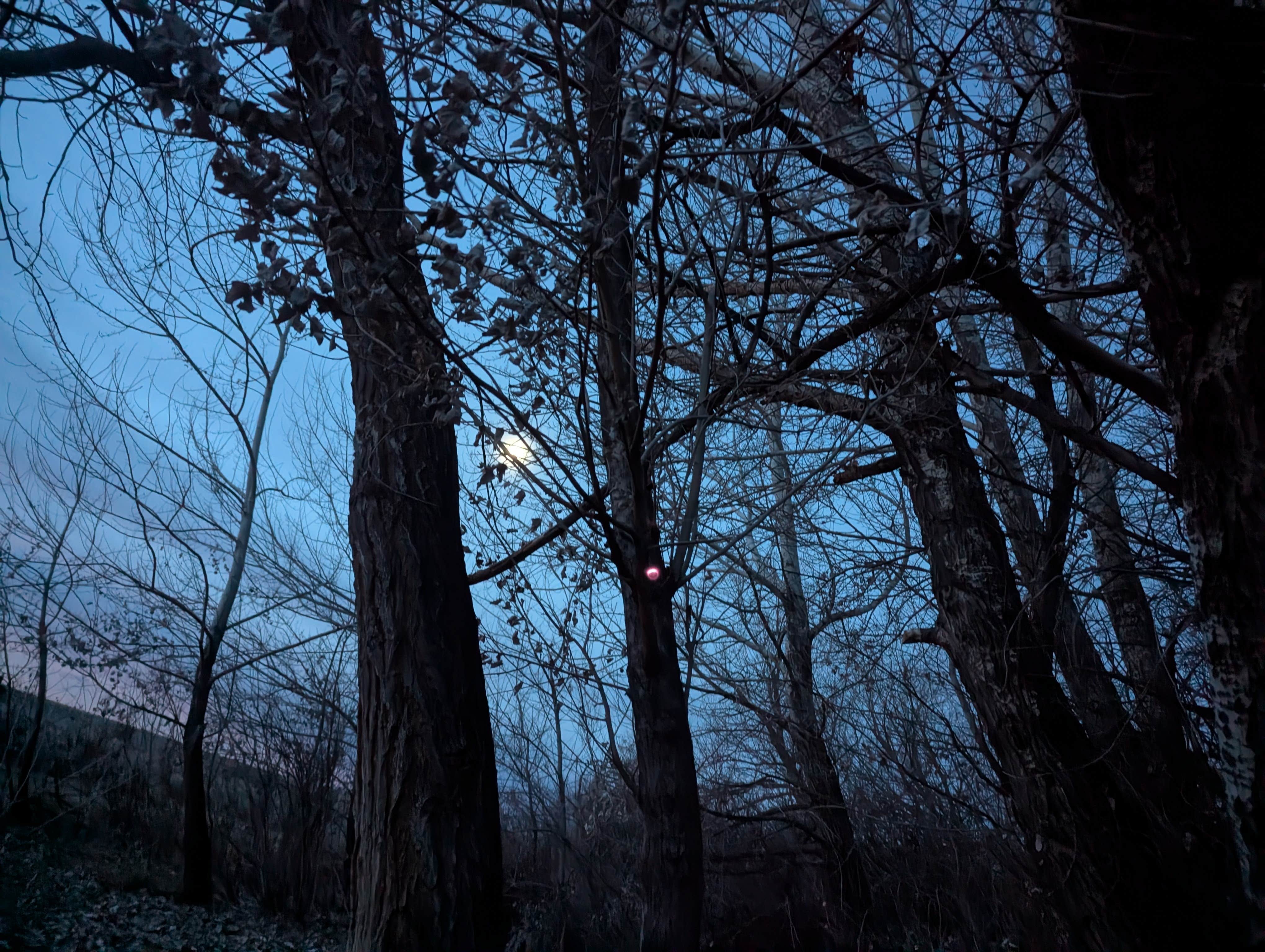 Camper-submitted photo at McClendon Spring Campground near Burley, ID