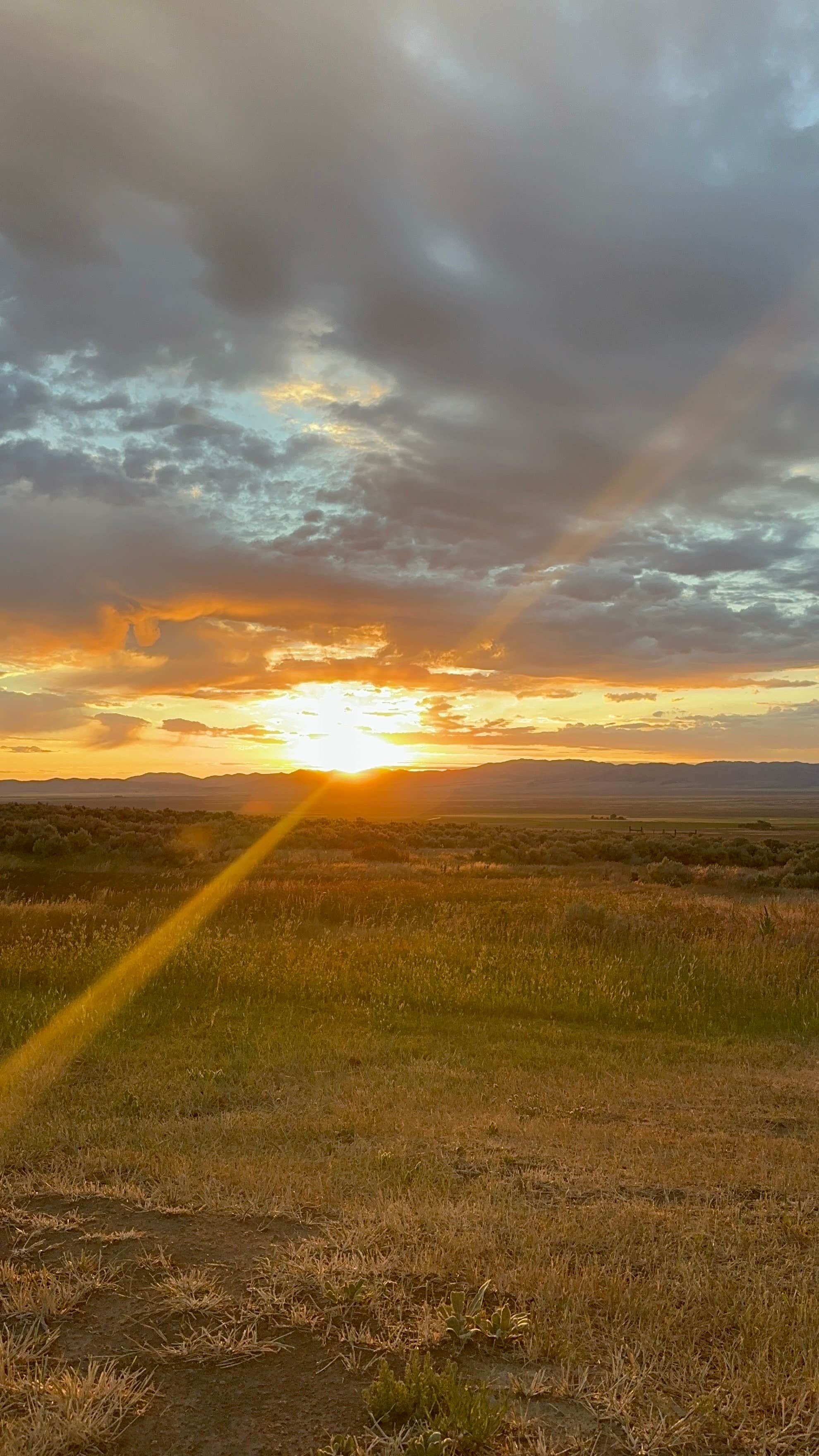 Camper-submitted photo at McClendon Spring Campground near Almo, ID