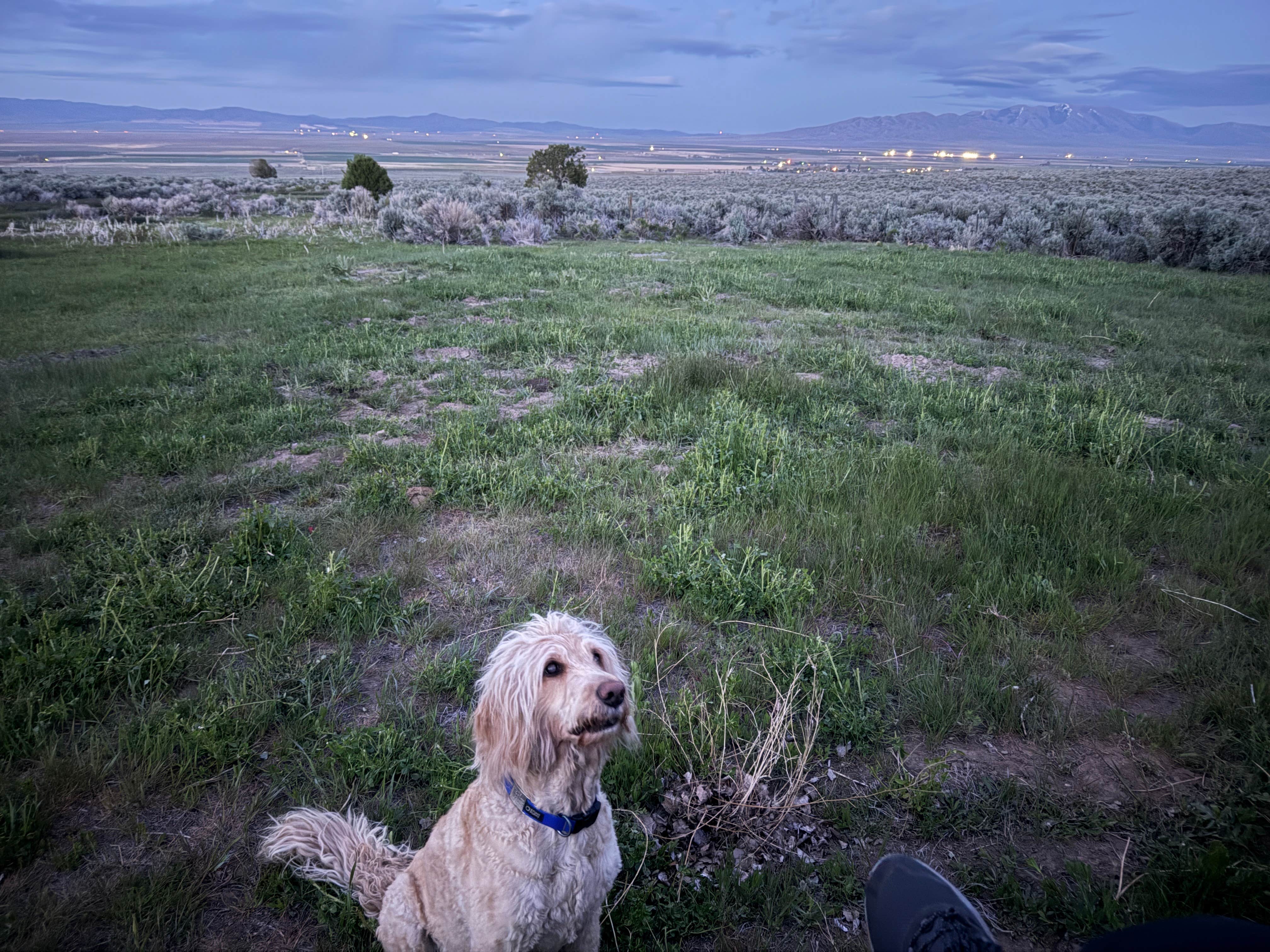 Camper-submitted photo at McClendon Spring Campground near Rockland, ID