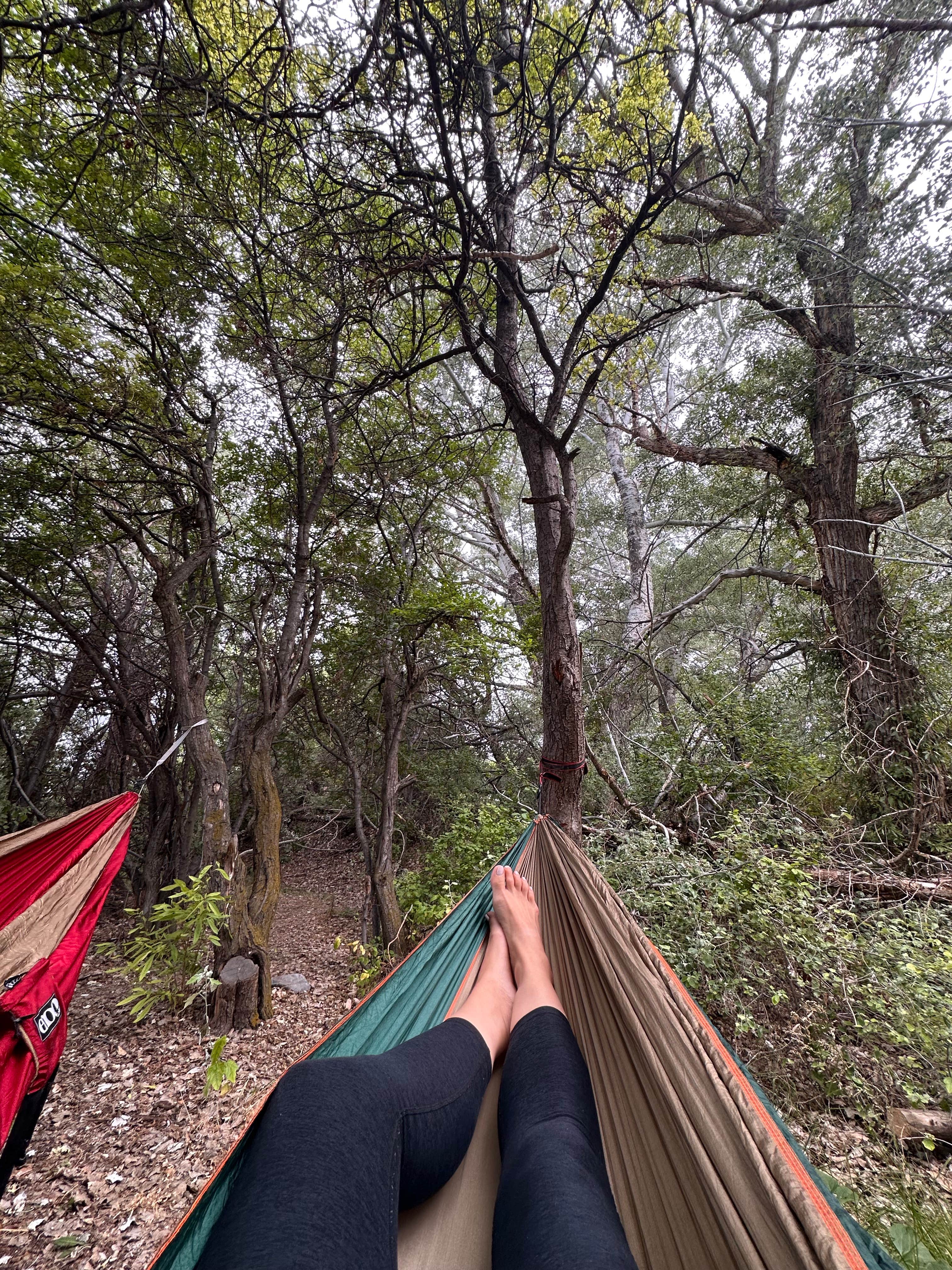 Christina W.'s photo of tent camping at McClendon Spring Campground near Almo, ID