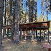Review photo of McCloud RV Resort by Michelle H., October 11, 2026