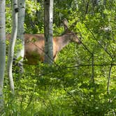 Review photo of McClure Campground by Rebecca M., May 19, 2025